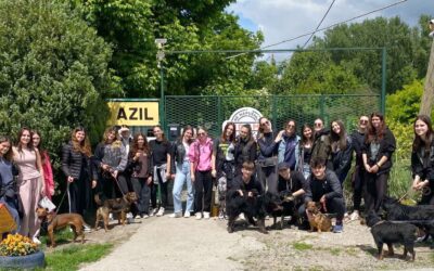 Posjet Azilu
